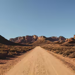 a dirt road leading through some dry bushes