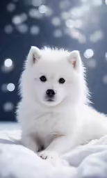 a white dog is sitting on a blanket