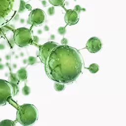 an image of algae in water on white background