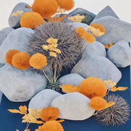 a cactus spikered in orange on some rocks