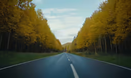 a highway is lined with golden autumn trees