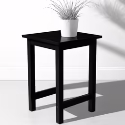 a black small table with a potted plant sitting on top