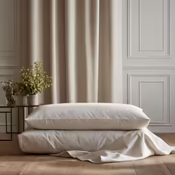 an image of a set of two pillows