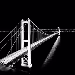 the top of a tall bridge at night
