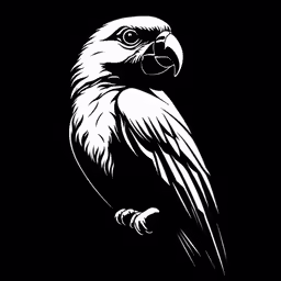 a white bird sitting on top of a tree