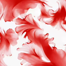 a very large flower is red and white