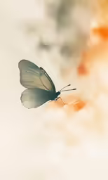 the insect is flying high above the clouds
