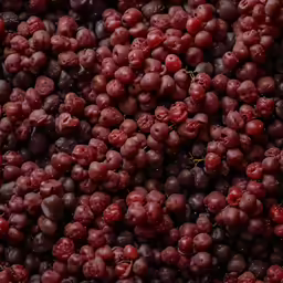 red grapes all grouped together with drops on them
