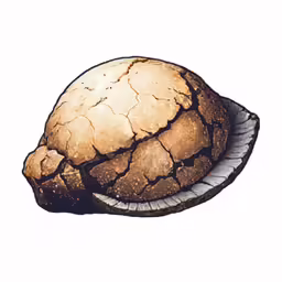 there is a small crocd with an outer portion broken and inside part cracked