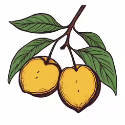 two plums with leaves and one is in the background