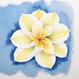 a white and yellow flower with large petals