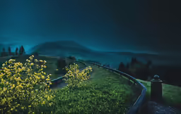 the scenic path of light in the green hilly area