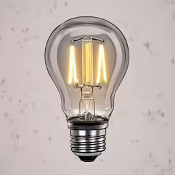 the back view of an incat bulb hanging on a wall
