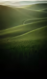 a field with long green hills in the background