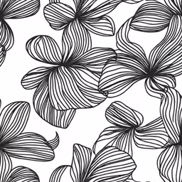 abstract flowers in black and white with lines