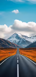 the highway has white and orange grass in the median