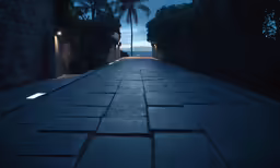 a dark street with a single palm tree