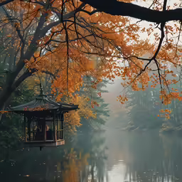 a tree that is standing by some water