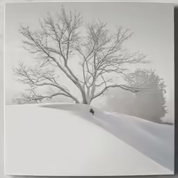 this is a picture of a snowy hill