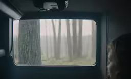 a window shows the woods through it