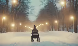 a person in a wheelchair standing in the middle of a snowy park