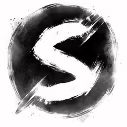 the letter s painted in black and white