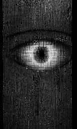 a photo taken of an eye as seen through some computer code