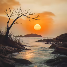 a tree branch sticking out of the water near rocks