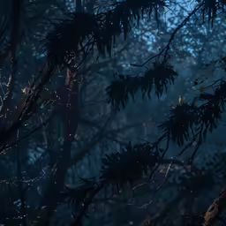 a picture of tree branches in the woods