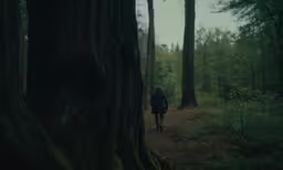 the person walking in a forest with the trail behind him