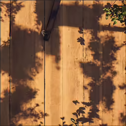 a shadow of a plant and a pair of scissors are on a piece of wood