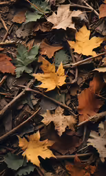 leaves scattered on the ground with one of them turning yellow