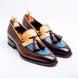 the loafer is decorated with blue and brown accents,the mens shoe is decorated with blue, brown and gold trim