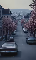 a city street lined with trees with pink blooms