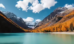 beautiful scene with trees and mountain in the back