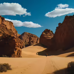 a person walking across a sandy hill covered in desert