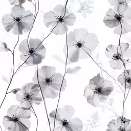 black and white flower with lots of petals on it