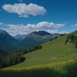 green hills with a line of trees in the foreground