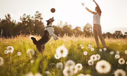 a woman is playing with her dog in a field