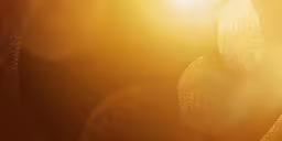 circles are being lit by the sun on a bright sunny day