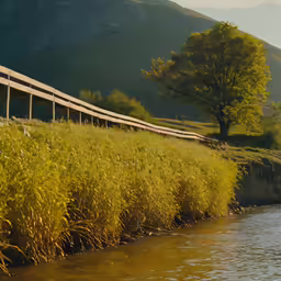 some tall grass some water a hill and a tree