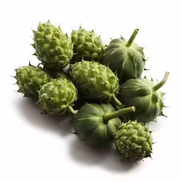 many green fruits sitting together on top of a white surface