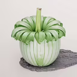 a plant sitting on top of a rock covered ground