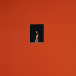 a person is standing in a window by an orange wall
