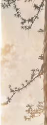 the tree branches are looking like they have been placed next to the sun