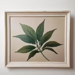 framed painting in white frame depicting green leaves