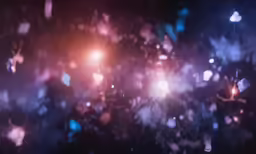 a photo with a blurry background with lights coming from the light