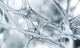 water bubbles floating on top of a stem