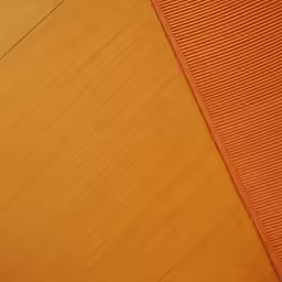 orange stripes are seen in the grass next to the sand
