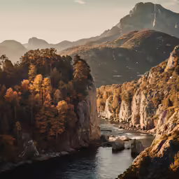 a river cuts through a mountainous forest area